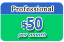 Professional Reseller $50 p/m